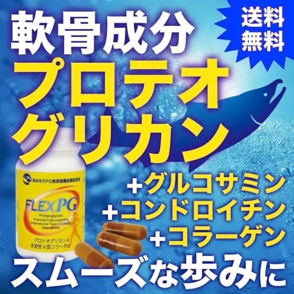 軟骨成分プロテオグリカン配合『フレックスＰＧ』60粒 (6)