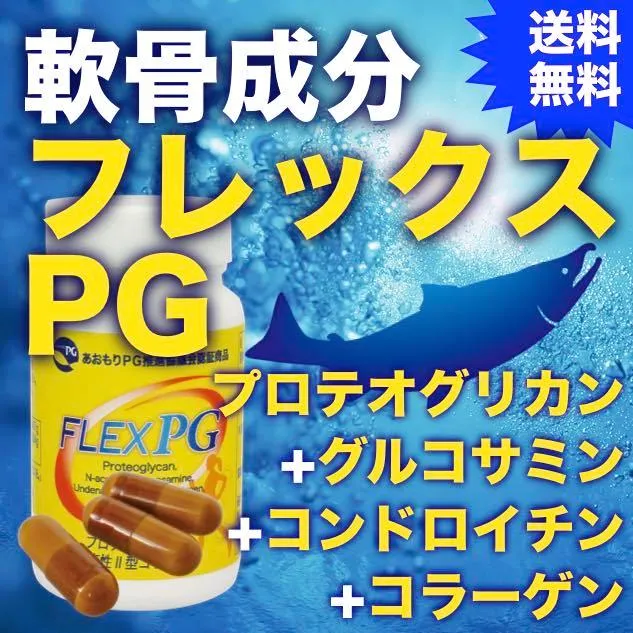 軟骨成分プロテオグリカン配合『フレックスＰＧ』60粒_TOP